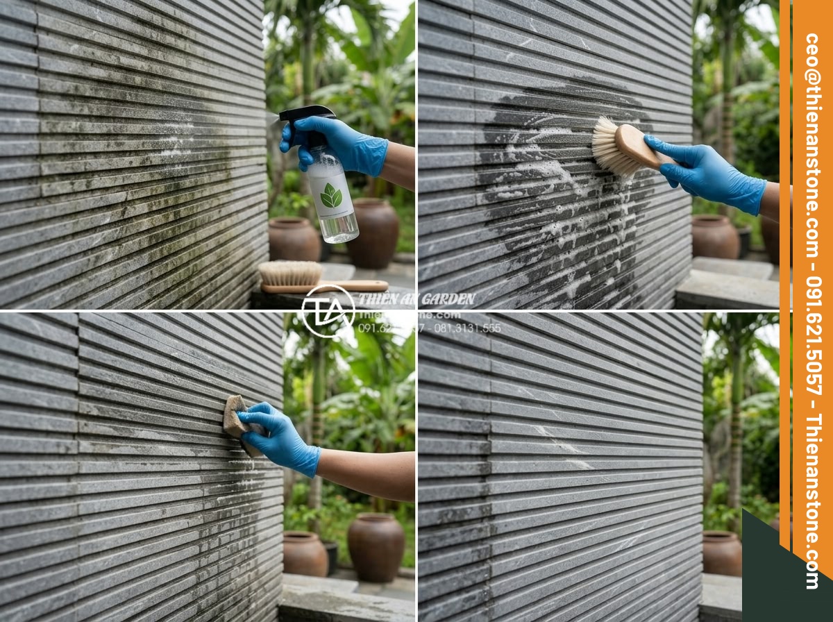 Đá răng lược có bị rêu mốc không? Bí quyết bảo quản đá luôn mới - Step-by-step tutorial style image of professional cleaning process on comb tooth
