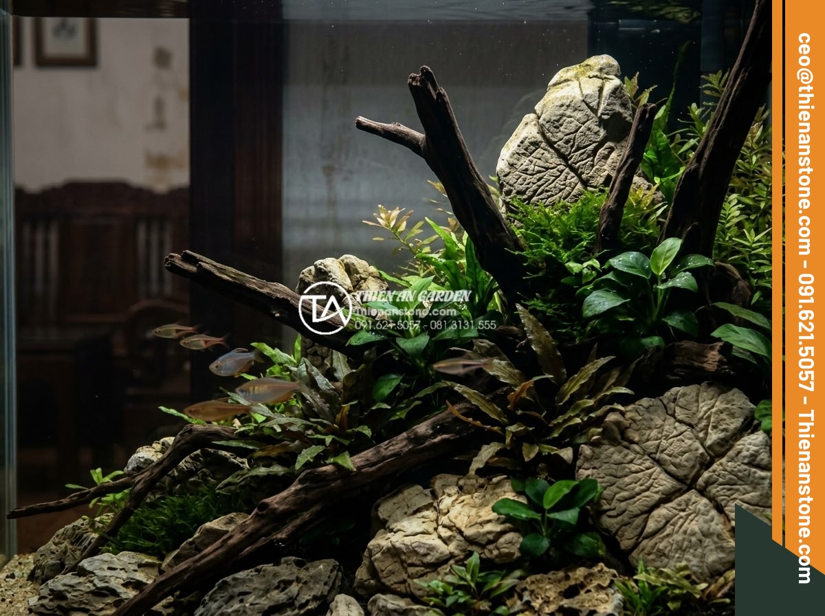 Hồ thủy sinh lũa và đá: Những lưu ý quan trọng để tránh rêu hại - Hình 4 Hồ thủy sinh lũa và đá: Những lưu ý quan trọng để tránh rêu hại - Artistic view of driftwood and stone aquascape at night with subtle LED lighting