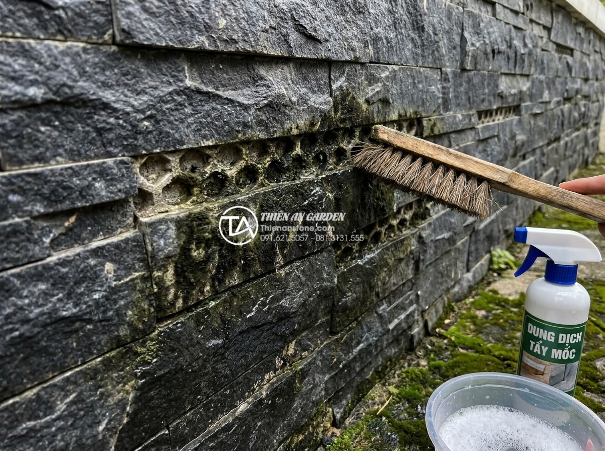 Hướng dẫn vệ sinh đá ghép tổ ong xám không bị rêu mốc, luôn bền màu - Close-up of stubborn green and black mold being scrubbed from gray honeycomb sto