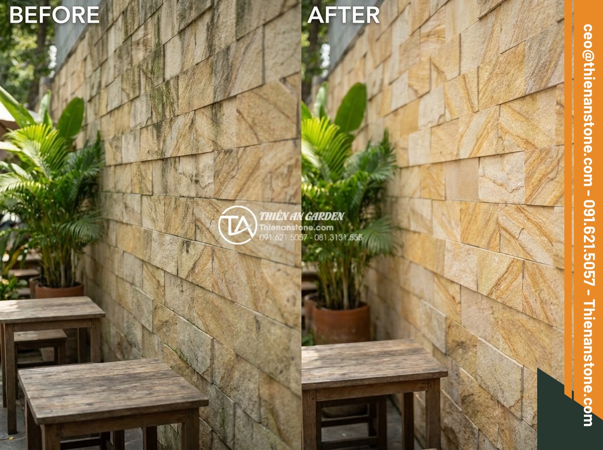 Khám phá vẻ đẹp mộc mạc của đá ong ghép 10x50 trong thiết kế Cafe sân vườn - Before and after maintenance images of 10x50 natural honeycomb stone showing lon