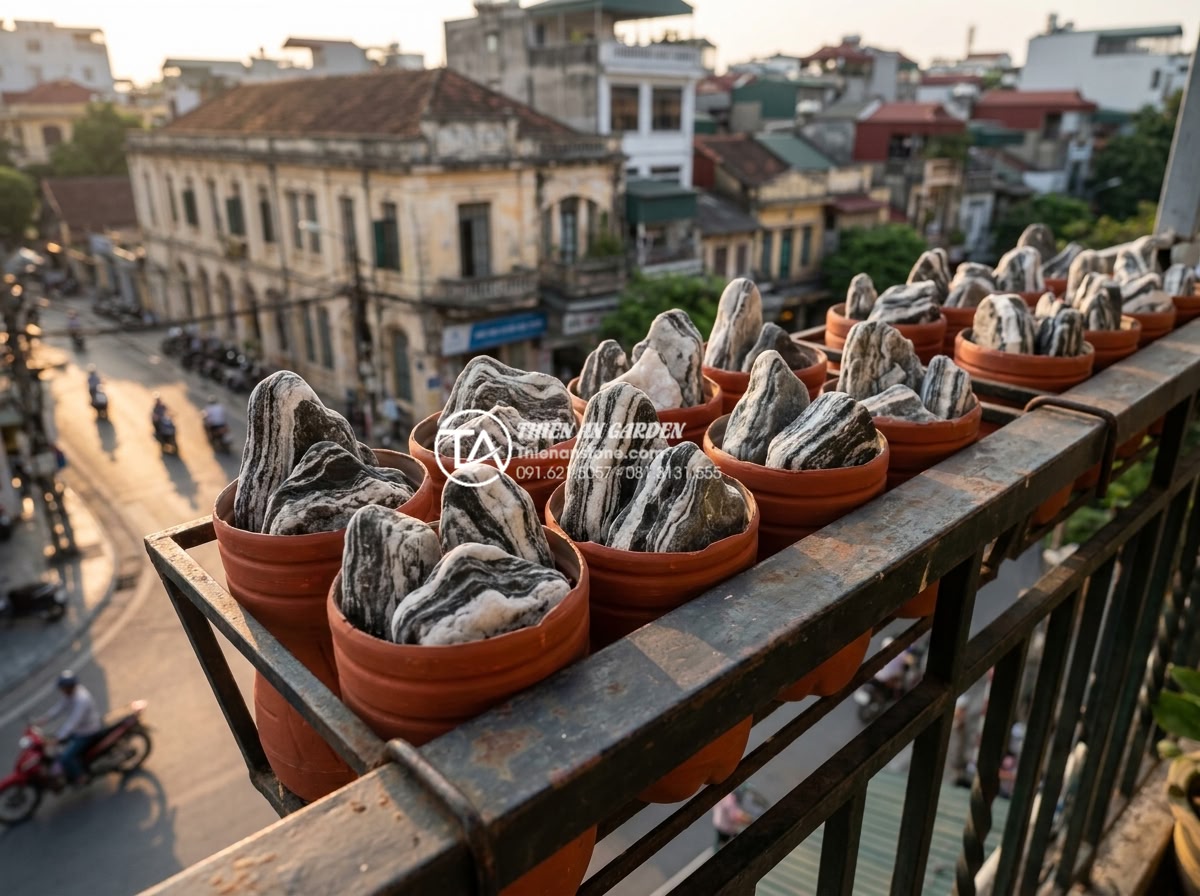 10 Ý tưởng tiểu cảnh khô sáng tạo từ vật liệu tái chế và đá tự nhiên - Hình 4 10 Ý tưởng tiểu cảnh khô sáng tạo từ vật liệu tái chế và đá tự nhiên - High resolution realistic image of mini dry garden made from recycled plastic bo