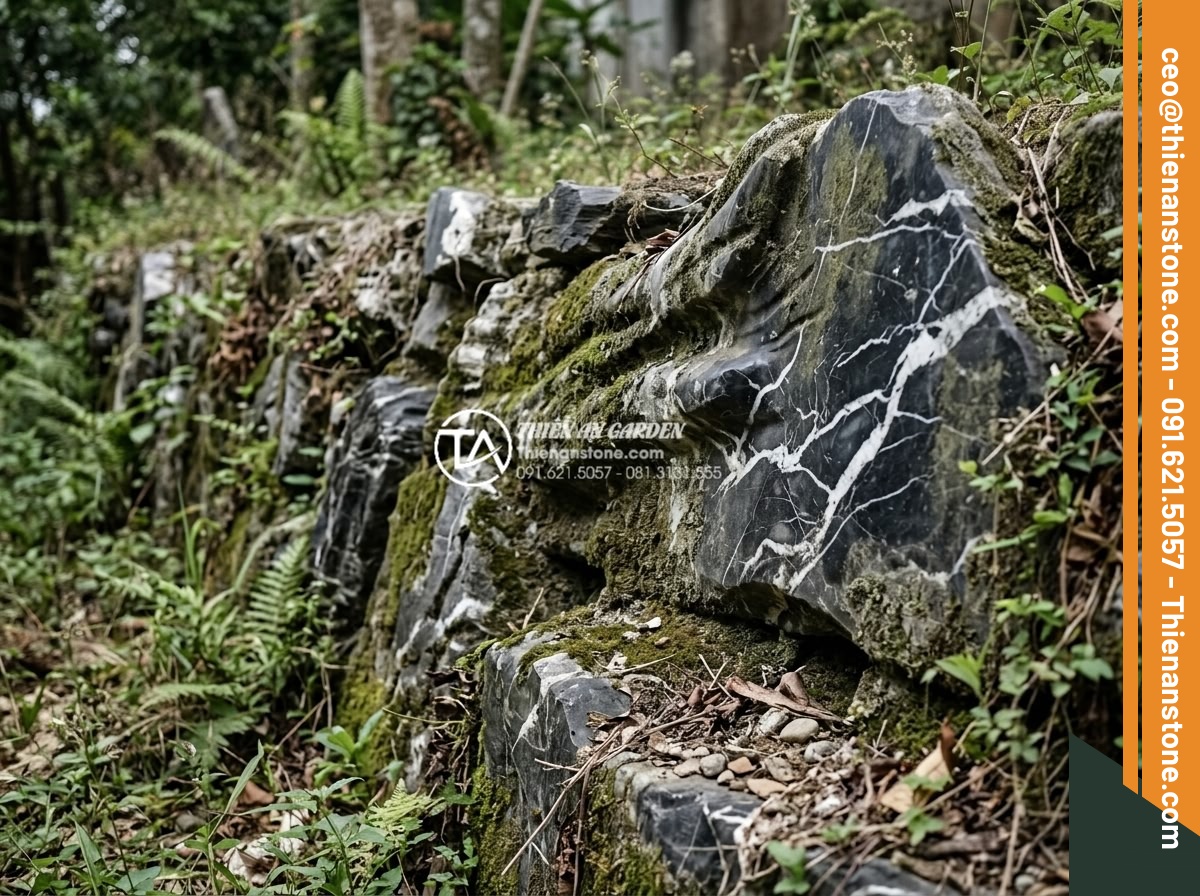 5 Sai lầm nghiêm trọng khi tự làm tiểu cảnh vách tường tại nhà - Neglected stone wall landscape covered in dust, moss, and debris after years wit