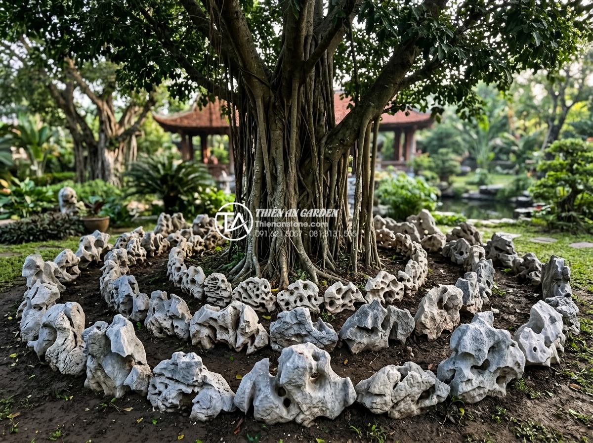 Cách chọn đá cuội tự nhiên trang trí tiểu cảnh gốc cây chuẩn kiến trúc - Hình 6 Cách chọn đá cuội tự nhiên trang trí tiểu cảnh gốc cây chuẩn kiến trúc - Beautiful landscape photography of a professionally designed tree base using per
