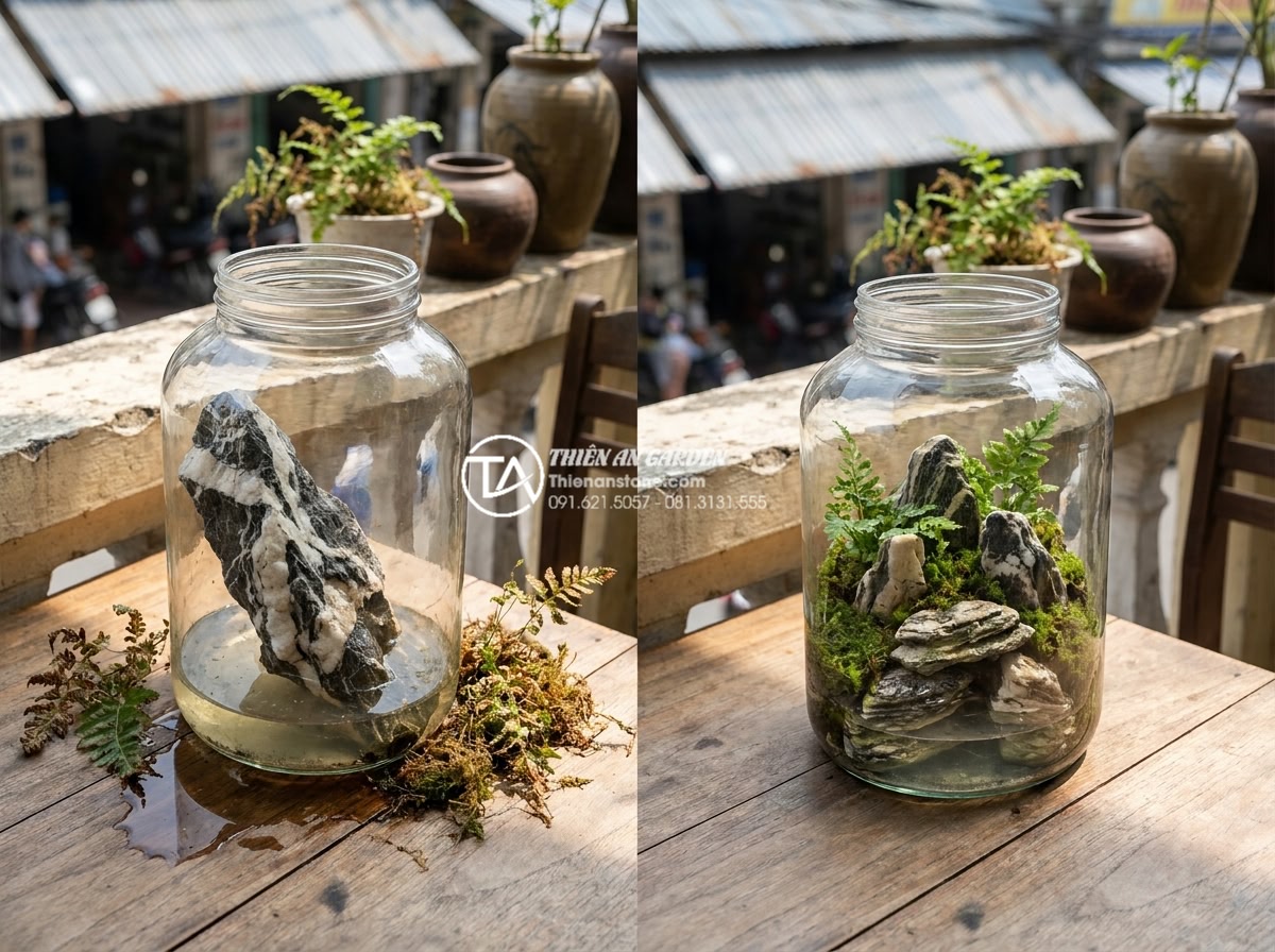 Hướng dẫn cách làm tiểu cảnh trong chum tại nhà đơn giản và chuẩn kỹ thuật - Before and after comparison photos of common DIY jar landscape mistakes includin