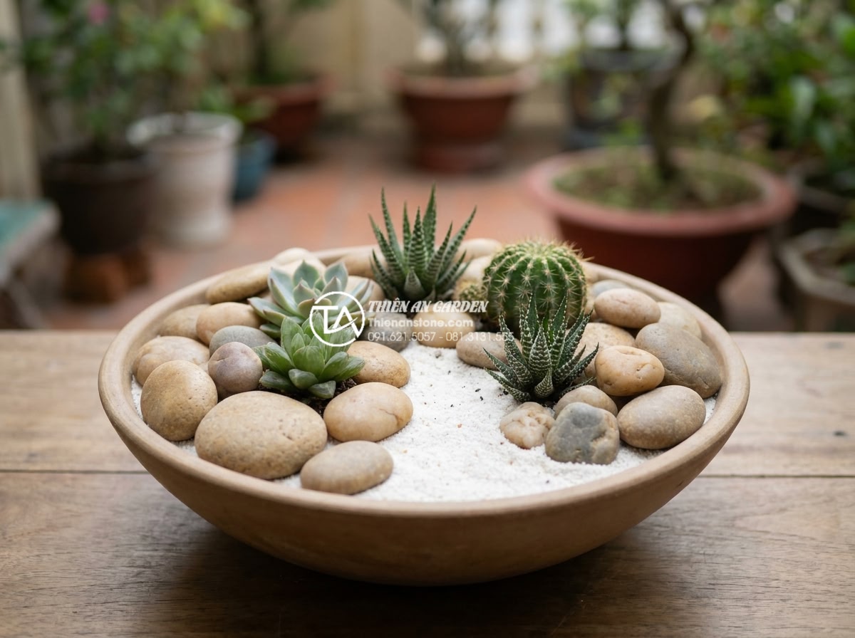 Làm thế nào để giữ cho cát trắng trong tiểu cảnh khô luôn trắng sáng? - Hình 15 Làm thế nào để giữ cho cát trắng trong tiểu cảnh khô luôn trắng sáng? - Selected drought-resistant plants integrated into dry miniature landscape protec