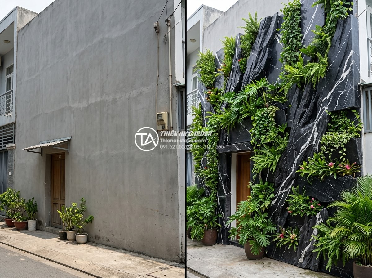 Tại sao tiểu cảnh vách tường là giải pháp làm mát nhà phố hiệu quả nhất? - Before and after comparison of a plain concrete townhouse wall transformed into 