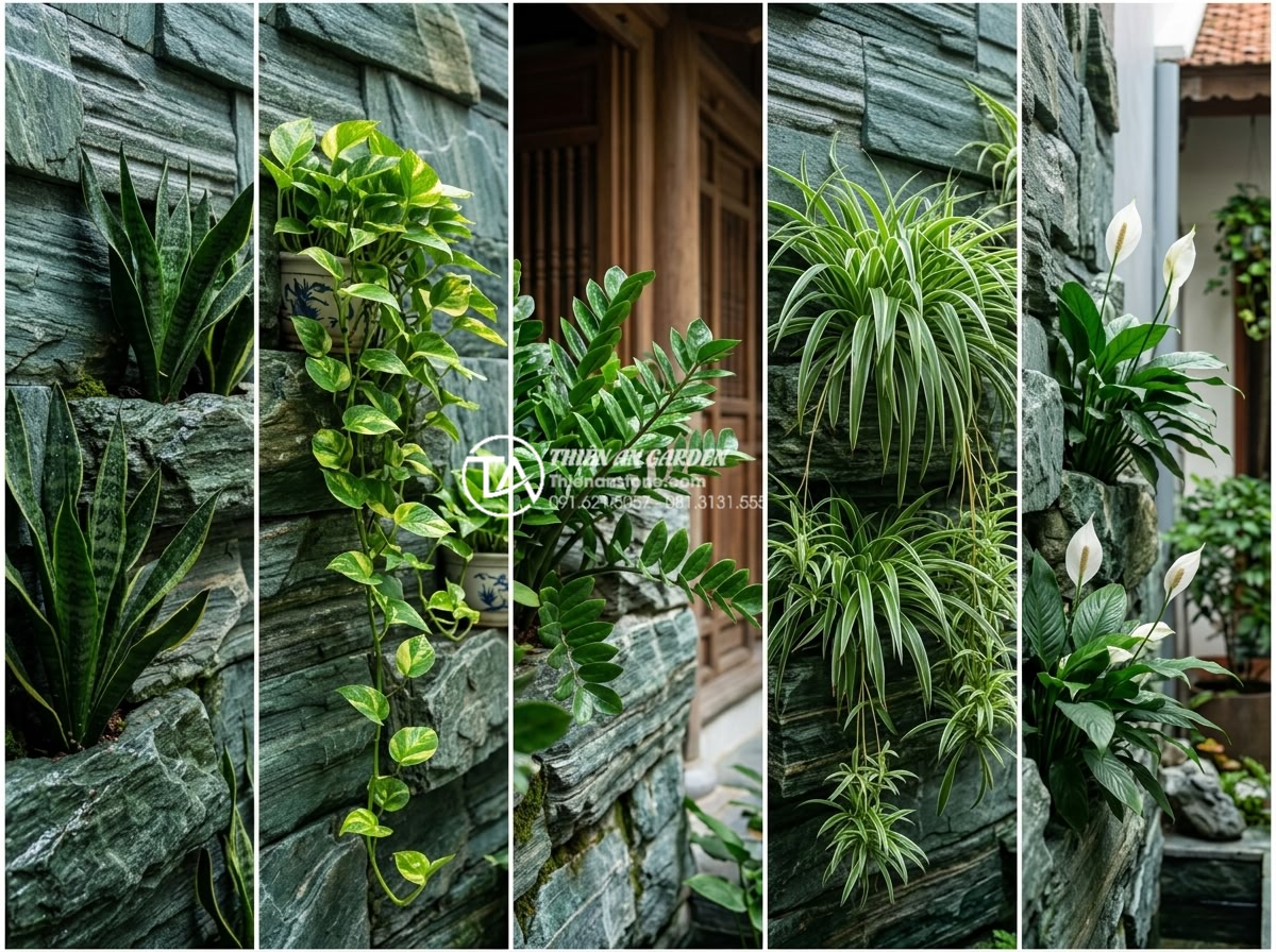 Top 10 loại cây bền bỉ nhất cho tiểu cảnh treo tường trong nhà - Collage of top 5 durable indoor plants for vertical wall gardens including snake