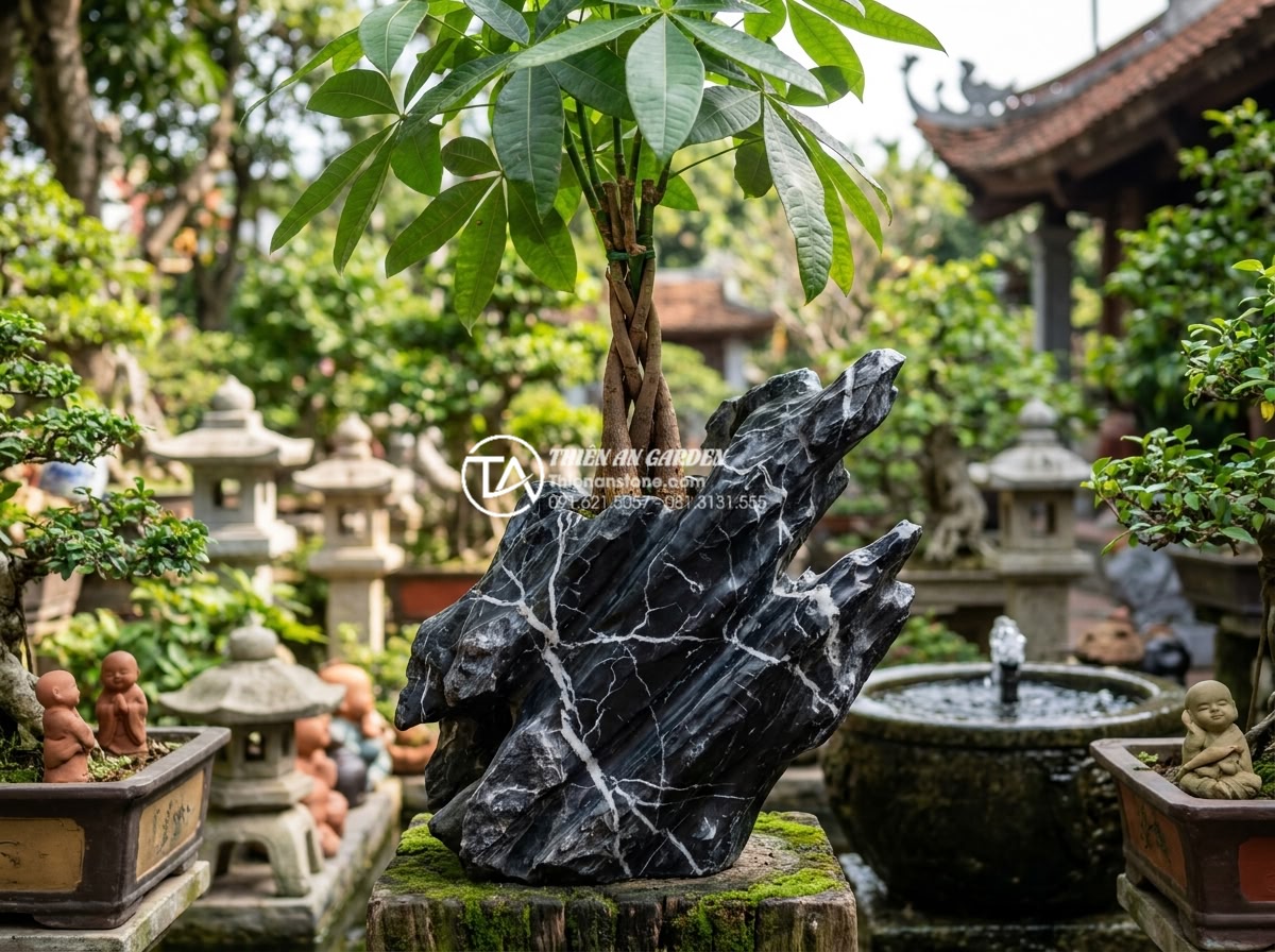 Top 7 loại cây thủy sinh phù hợp nhất để trồng trong tiểu cảnh chum vại - Hình 17 Top 7 loại cây thủy sinh phù hợp nhất để trồng trong tiểu cảnh chum vại - Money plant with braided stems emerging from stone water vase in lucky garden se