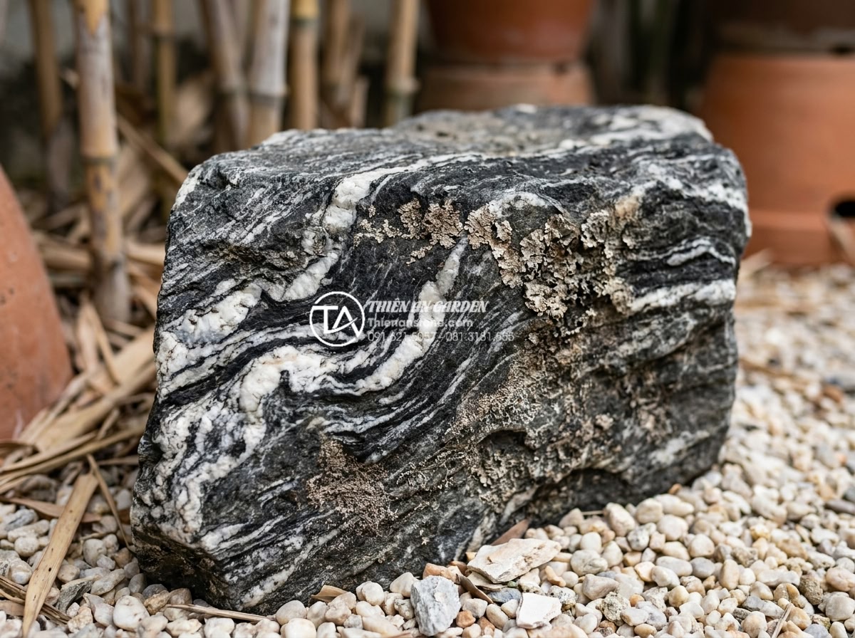 Xu hướng sử dụng đá cảnh tự nhiên nguyên khối trong tiểu cảnh khô sân vườn 2026 - Close-up macro photograph of the raw natural surface texture of a large monolith