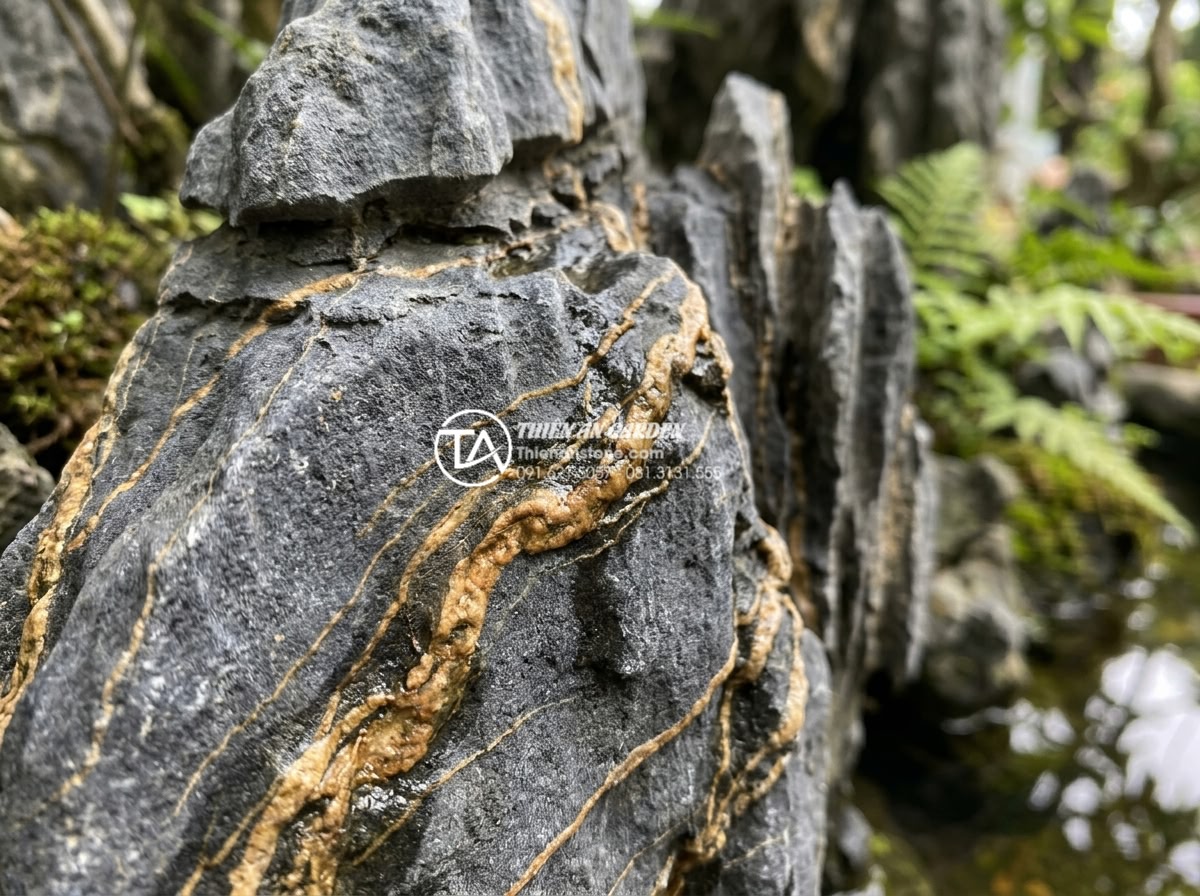 Cách nhận biết đá trầm tích chất lượng cao bằng mắt thường - Macro photography of sedimentary rock texture revealing fine grain surface with 