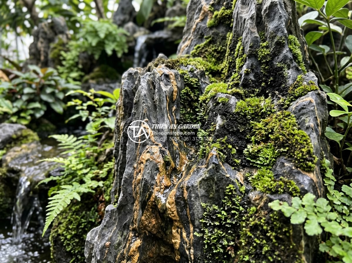 Cách xử lý rêu mốc trên đá trầm tích trang trí ngoài trời - Close-up view of green moss and black mold patches covering porous sedimentary r