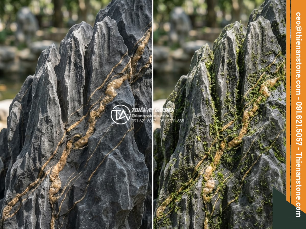 Cách xử lý rêu mốc trên đá trầm tích trang trí ngoài trời - Before and after close-up comparison of sedimentary rock surface showing early m