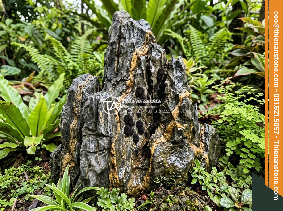 Cách xử lý rêu mốc trên đá trầm tích trang trí ngoài trời - High detail image of black mold spots appearing in crevices of outdoor decorativ