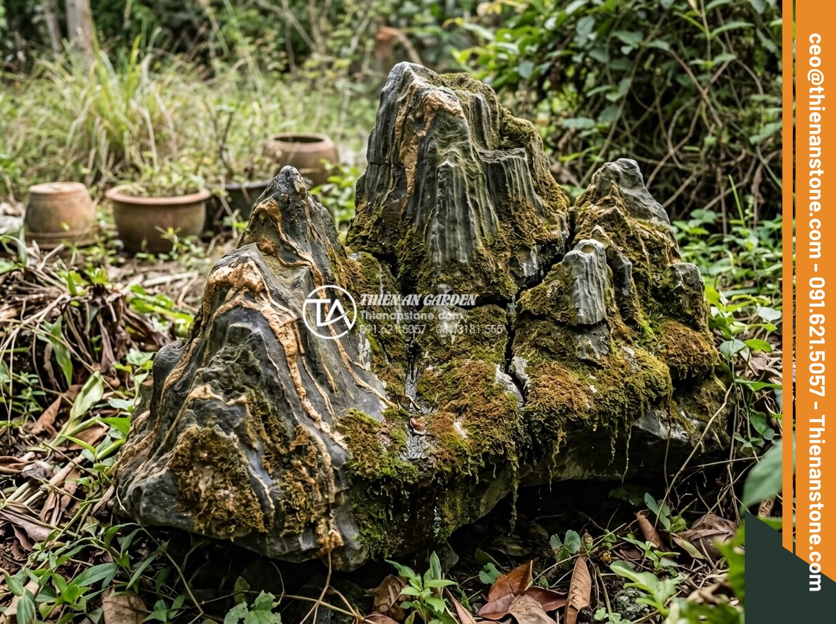 Cách xử lý rêu mốc trên đá trầm tích trang trí ngoài trời - Damaged sedimentary rock with thick moss layer causing cracks and discoloration 