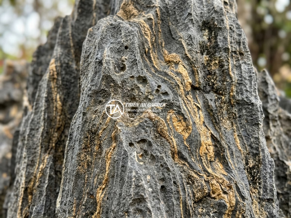 Đá trầm tích có bền không? Tuổi thọ của đá trong điều kiện khắc nghiệt - Scientific close-up of sedimentary limestone surface showing early signs of natu