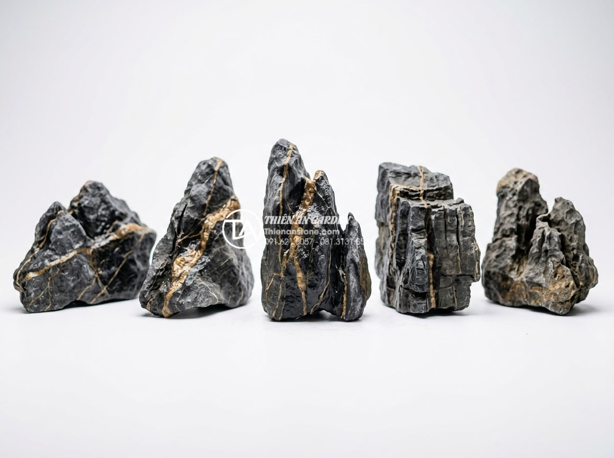 Đá trầm tích thủy sinh: Bí quyết chọn và xử lý đá cho bể cá - Collection of various types of sedimentary rocks including sandstone and shale d