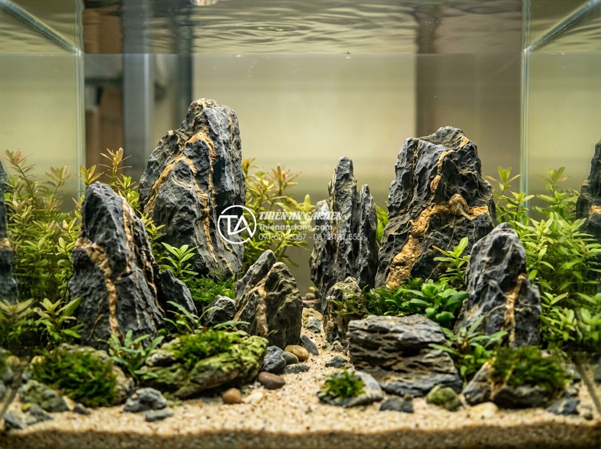 Đá trầm tích thủy sinh: Bí quyết chọn và xử lý đá cho bể cá - Assortment of popular sedimentary rocks for aquariums arranged in different size