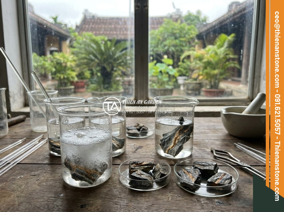 Hỏi đáp: Có nên dùng axit để tẩy rửa bề mặt đá trầm tích? - Laboratory test setup comparing different acids effect on small sedimentary ston