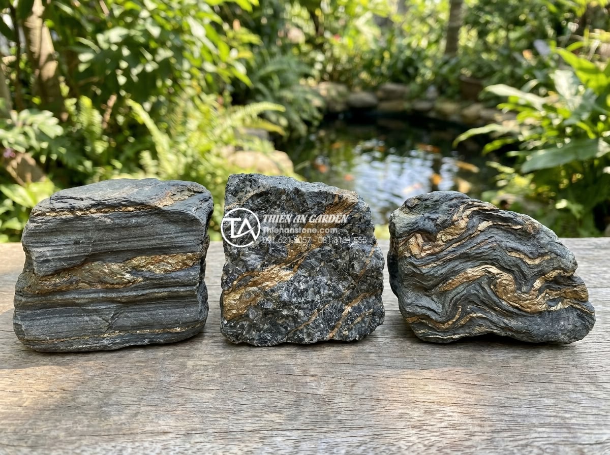 Khám phá vẻ đẹp của đá trầm tích hàm chứa tinh thể khoáng vật - Side-by-side comparison photo of sedimentary, igneous, and metamorphic rock samp