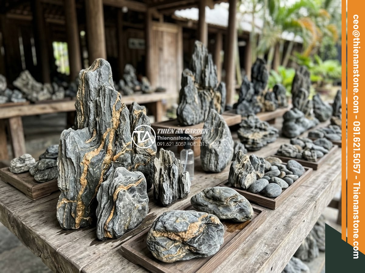Nghệ thuật sử dụng đá trầm tích trong thiết kế hòn non bộ và tiểu cảnh - Collection of popular sedimentary rocks arranged in a professional display for l