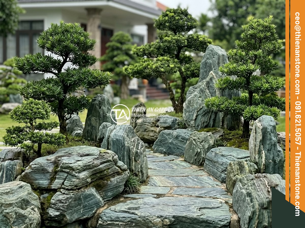 Sự kết hợp hoàn hảo giữa cây Tùng La Hán và đá xanh Nhật Bản - Group of various sized Tùng La Hán trees arranged artistically with Japanese sto