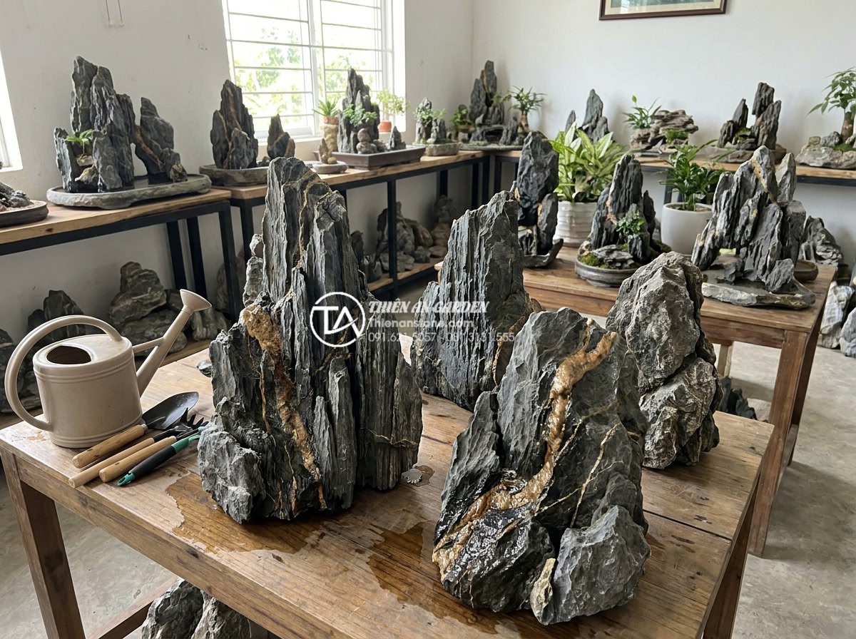 Tại sao đá trầm tích thường được dùng làm tảng đá bước dặm? - Hình 14 Tại sao đá trầm tích thường được dùng làm tảng đá bước dặm? - Customer selecting sedimentary stones at Thien An Stone showroom with expert gui