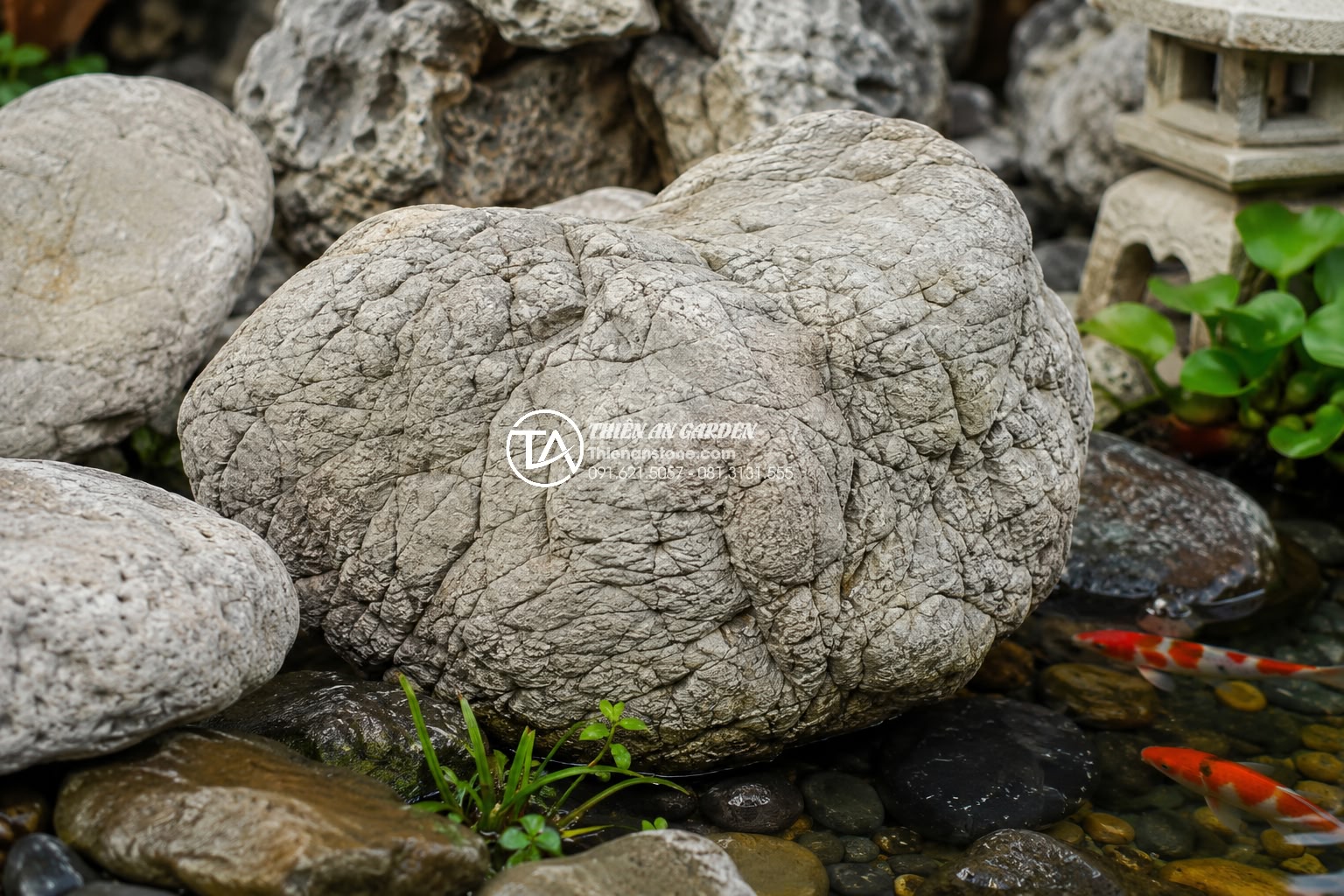 Thiết kế tiểu cảnh bể cá sân vườn theo mệnh: Kim, Mộc, Thủy, Hỏa, Thổ - Close-up professional display of natural stone samples for feng shui fish ponds 