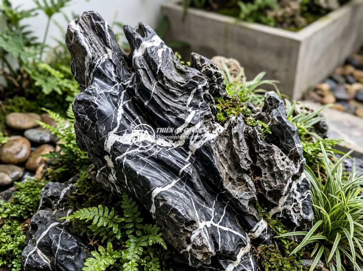 99+ Mẫu tiểu cảnh góc sân vườn đẹp và hiện đại nhất xu hướng 2026 - Close-up of popular natural granite and basalt stones used in 2026 modern corner