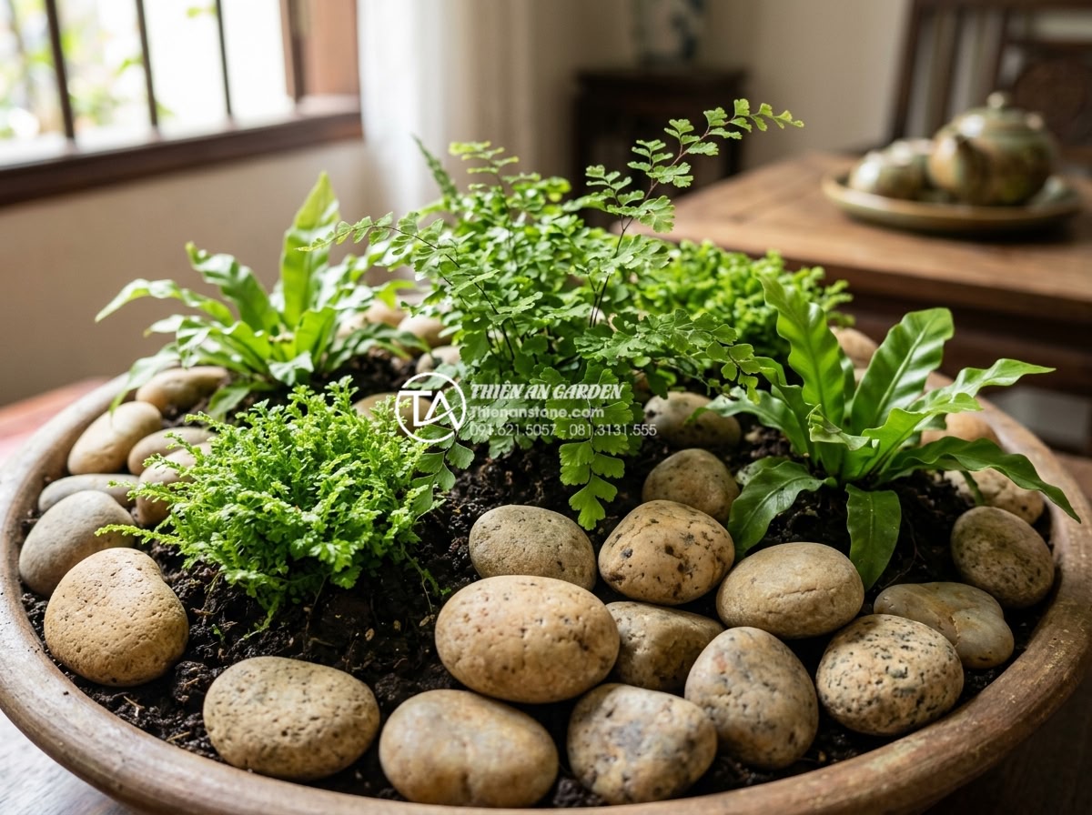 Cách chọn cây xanh phù hợp cho tiểu cảnh sân vườn mini trong nhà - Close-up view of various indoor plants in a mini garden arrangement with humidit