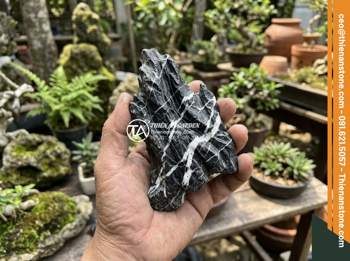 Hướng dẫn tự làm tiểu cảnh sân vườn đơn giản tại nhà - Hình 6 Hướng dẫn tự làm tiểu cảnh sân vườn đơn giản tại nhà - Expert hand holding and examining different natural stone samples under sunlight