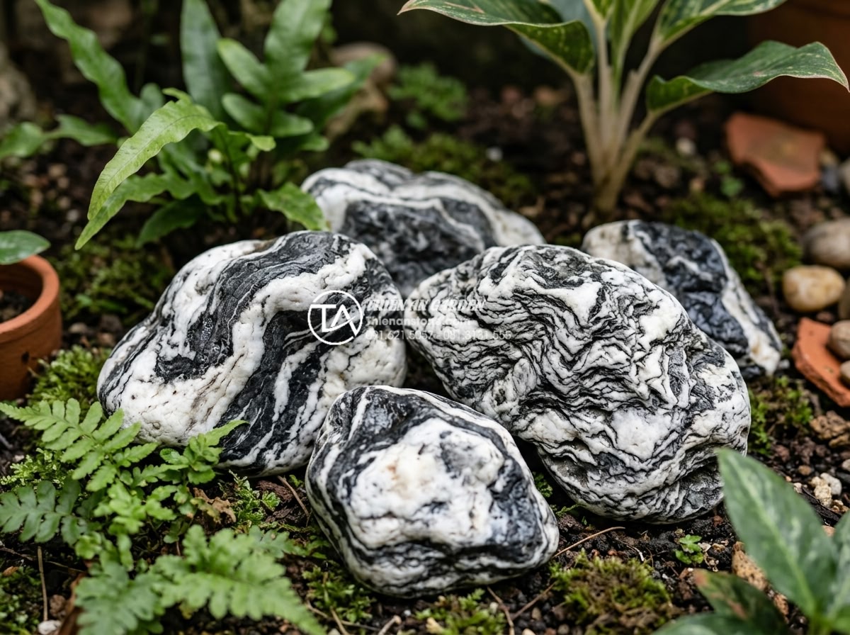 Mẫu tiểu cảnh sân vườn nhà phố diện tích hẹp vẫn đẹp mê hồn - Close-up comparison of different stone textures and colors suitable for compact 