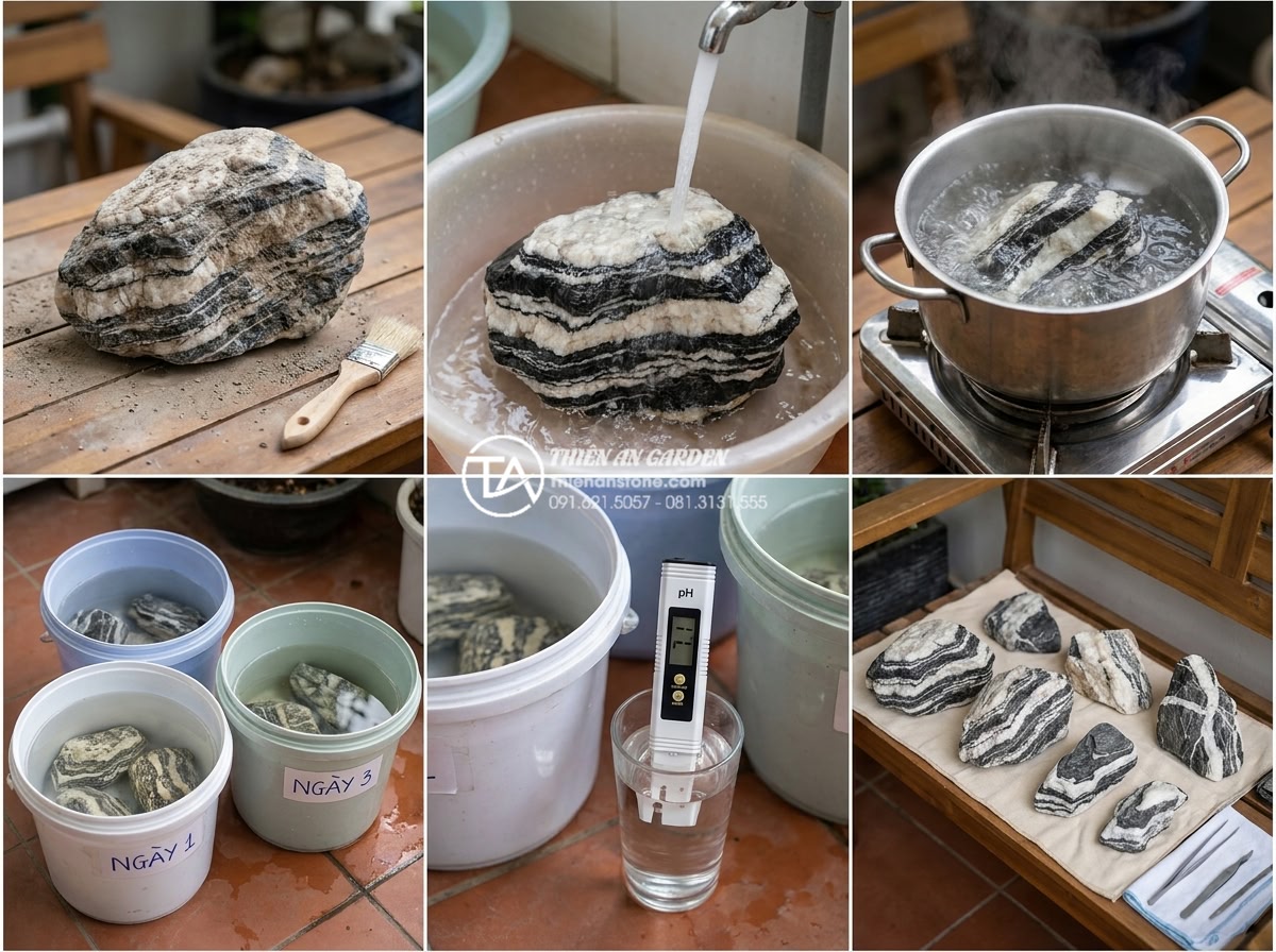 Top 5 sai lầm khiến đá tuyết sơn thủy sinh làm chết cá và cây - Step-by-step professional guide photo of complete Snow Mountain Stone (đá tuyết 