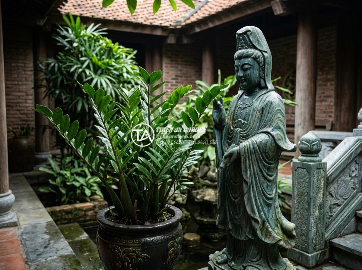 7 Loại cây trồng giếng trời ít ánh sáng cực dễ chăm sóc - ZZ plant with glossy dark green leaves positioned in a low light atrium next to 