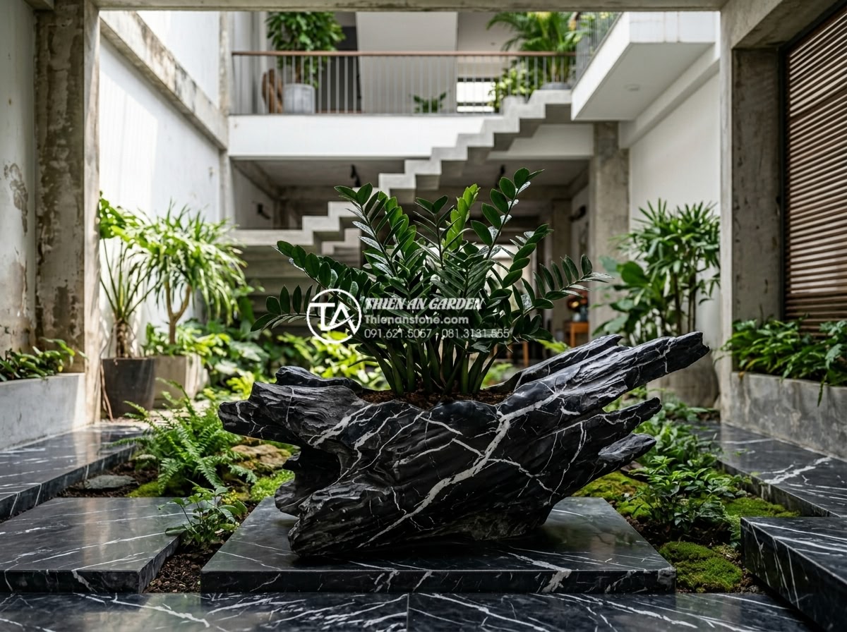 7 Loại cây trồng giếng trời ít ánh sáng cực dễ chăm sóc - ZZ plant thriving among natural stone planters in a minimalist sky well interior