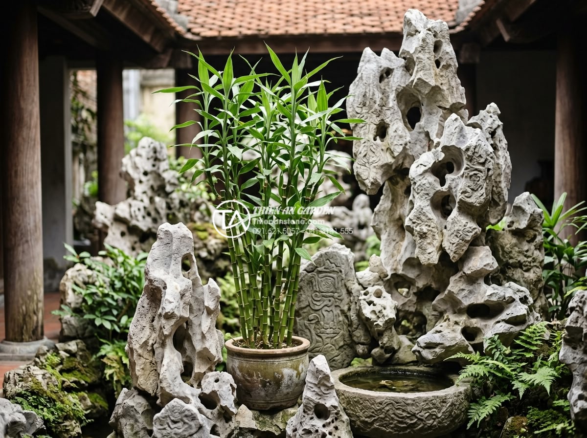 7 Loại cây trồng giếng trời ít ánh sáng cực dễ chăm sóc - Lucky bamboo or Dracaena plant in low light atrium with stone carvings and rock 