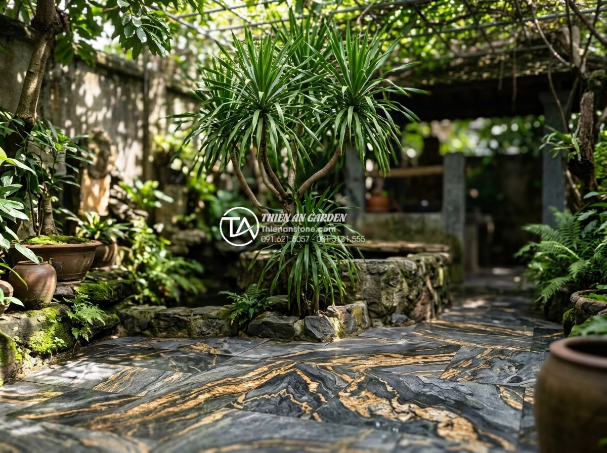 7 Loại cây trồng giếng trời ít ánh sáng cực dễ chăm sóc - Tall Dracaena plant surrounded by polished stone tiles in shaded garden well