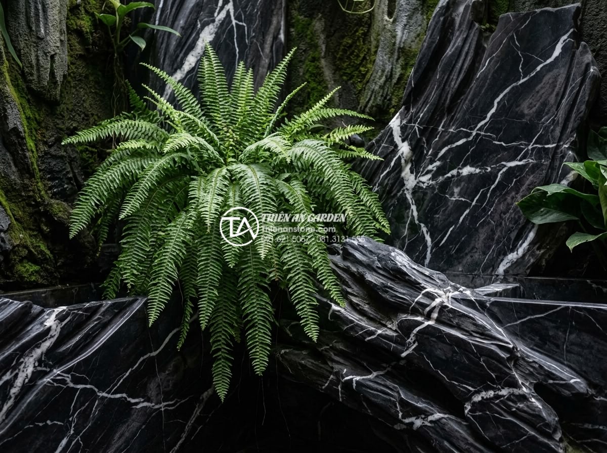 7 Loại cây trồng giếng trời ít ánh sáng cực dễ chăm sóc - Boston fern with feathery fronds cascading in humid low-light sky well featuring