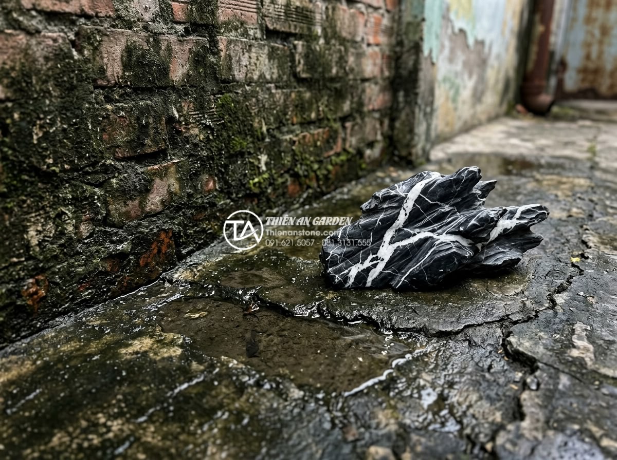 Case Study: Biến sân sau nhà phố chật hẹp thành ốc đảo xanh với đá cảnh - Close-up detailed view of the old backyard drainage problems showing water pooli