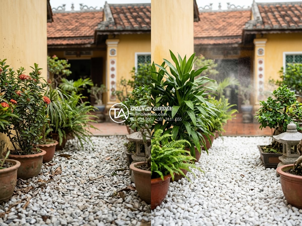 Review 5 loại sỏi quay trang trí tiểu cảnh trước nhà được ưa chuộng nhất - Clean and bright professional photograph of a well-maintained front yard with sp