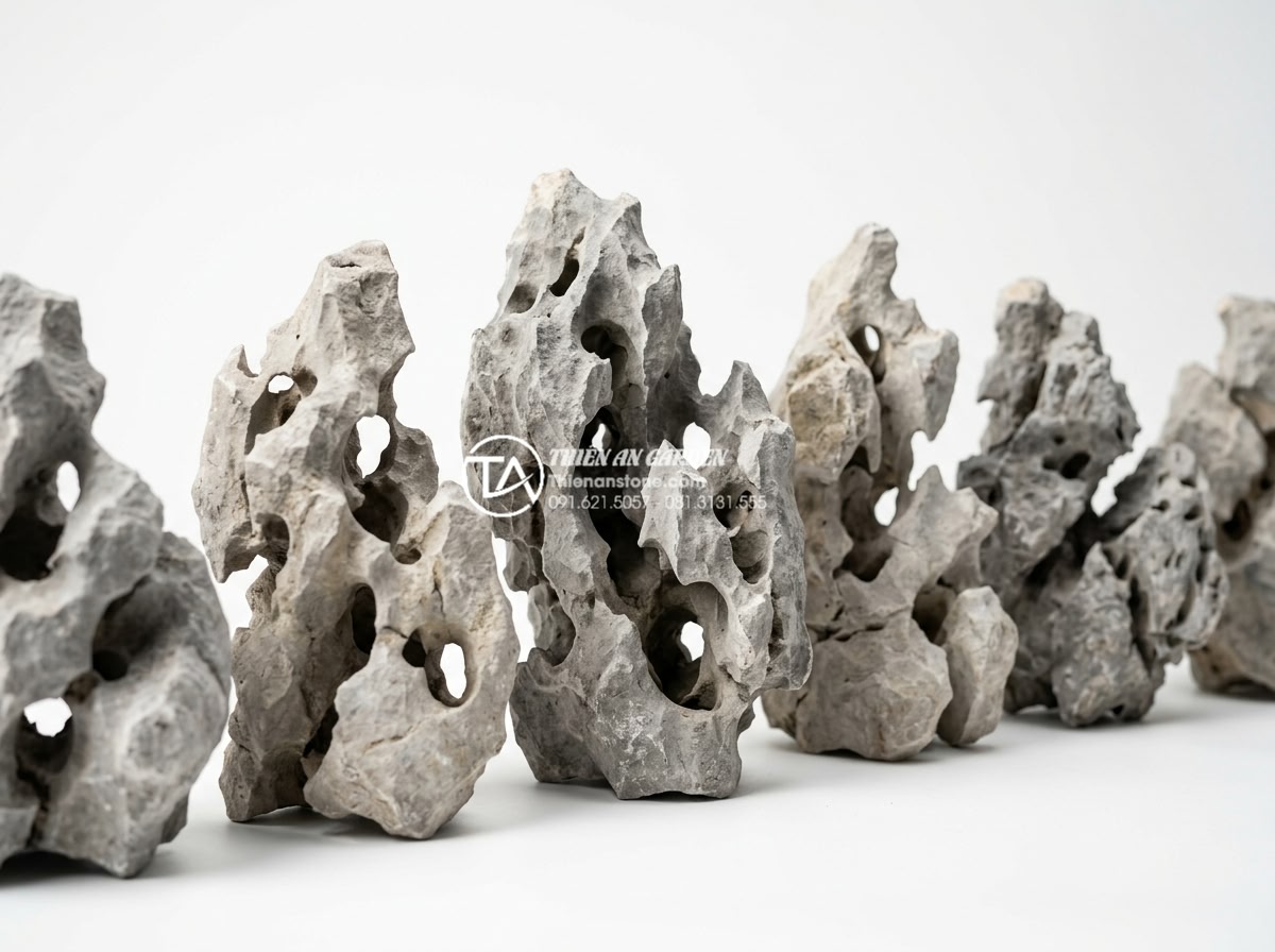 Review 5 loại sỏi quay trang trí tiểu cảnh trước nhà được ưa chuộng nhất - Professional comparison style photograph showing five different types of tumbled