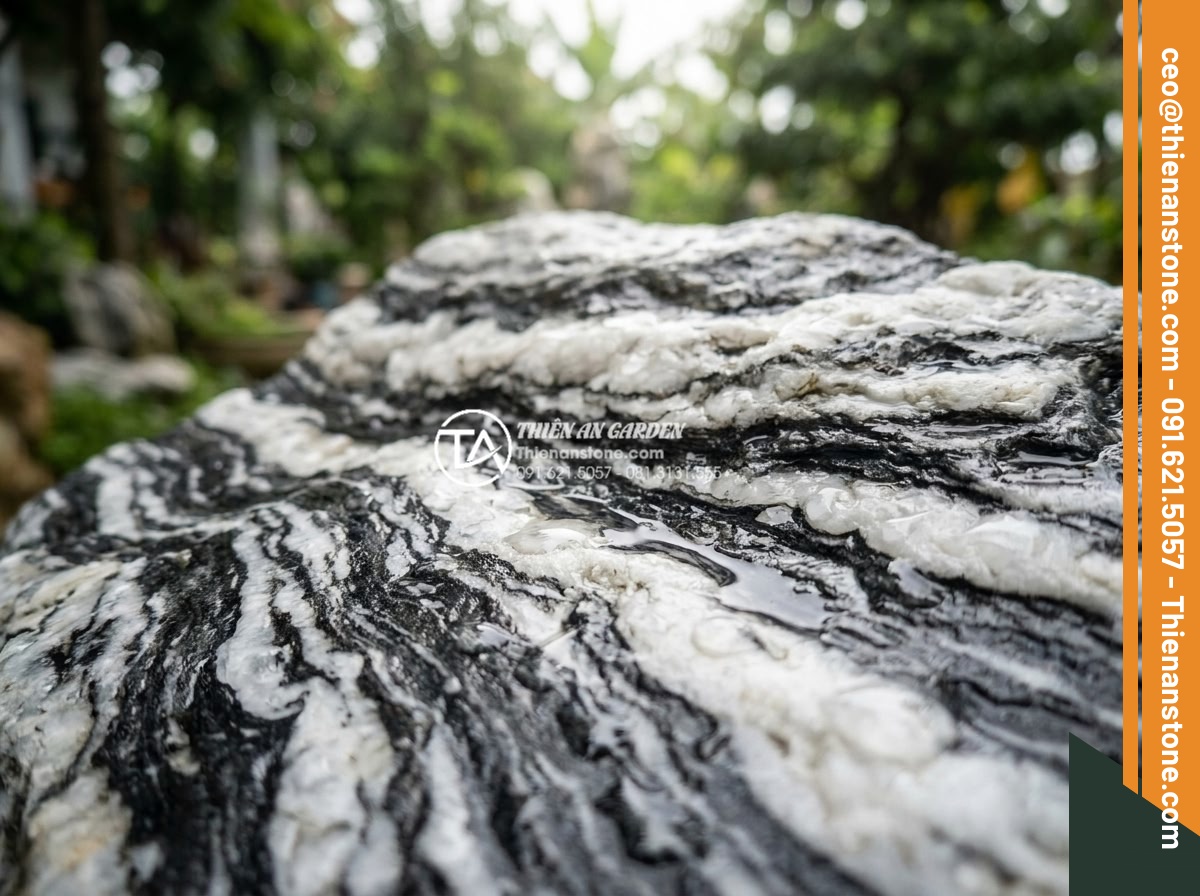 5 Sai lầm phổ biến khi tự làm tiểu cảnh trước nhà mini bạn cần biết - Close up high resolution image showing the texture and natural veining of premiu