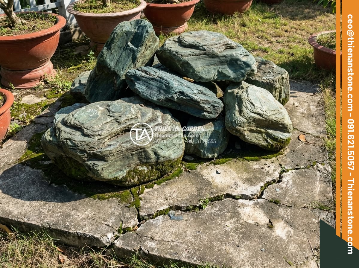5 Sai lầm phổ biến khi tự làm tiểu cảnh trước nhà mini bạn cần biết - High resolution realistic photo of a common DIY mistake in Vietnamese front yard