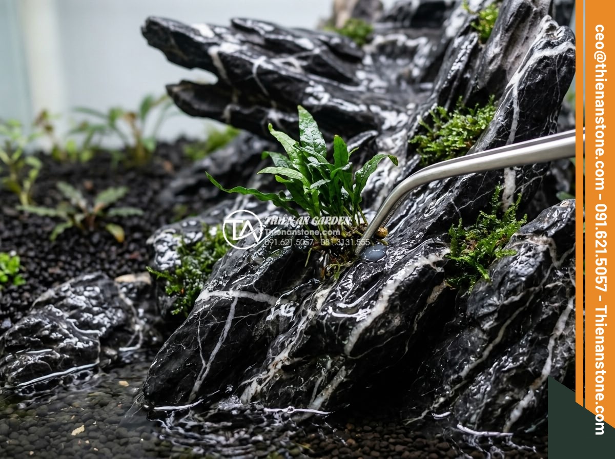Top 10 loại cây thủy sinh và cây trang trí thác nước sân vườn đẹp nhất - Step-by-step professional guide image showing correct planting technique of aqua