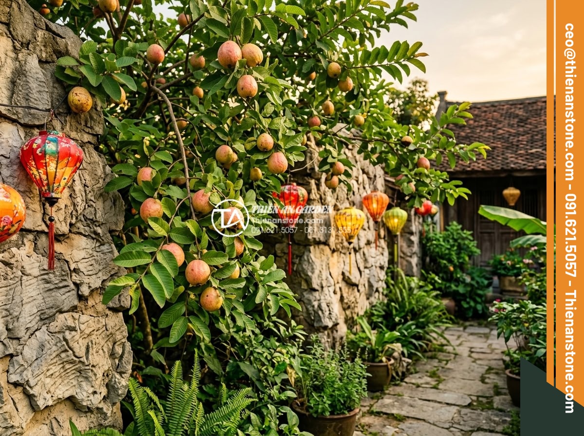 10 loại cây cảnh phù hợp nhất với phong cách làng quê Bắc Bộ - Realistic vibrant photograph of a guava tree loaded with ripe fruits growing bes