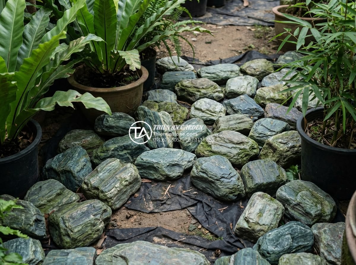 7 bí quyết sắp xếp đá cuội tự nhiên để có tiểu cảnh đẹp như tranh - Hình 17 7 bí quyết sắp xếp đá cuội tự nhiên để có tiểu cảnh đẹp như tranh - Common mistakes in pebble arrangement before correction in garden design