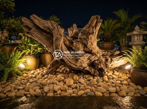 Cách kết hợp đèn LED chiếu sáng làm nổi bật tiểu cảnh gỗ lũa đêm - Night view of a large driftwood centerpiece in a Vietnamese garden illuminated b