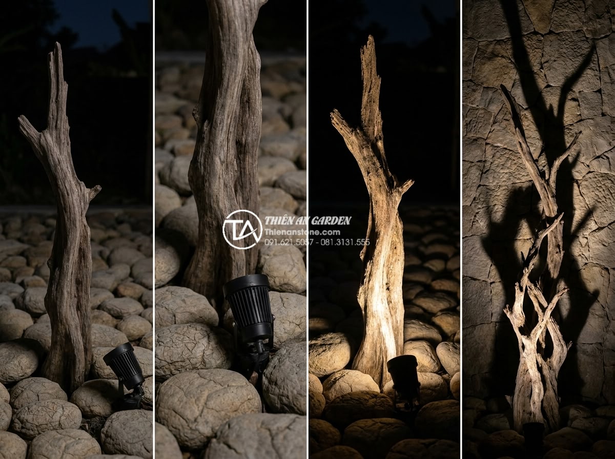 Cách kết hợp đèn LED chiếu sáng làm nổi bật tiểu cảnh gỗ lũa đêm - Step-by-step illustration of uplighting technique applied to a tall driftwood pi