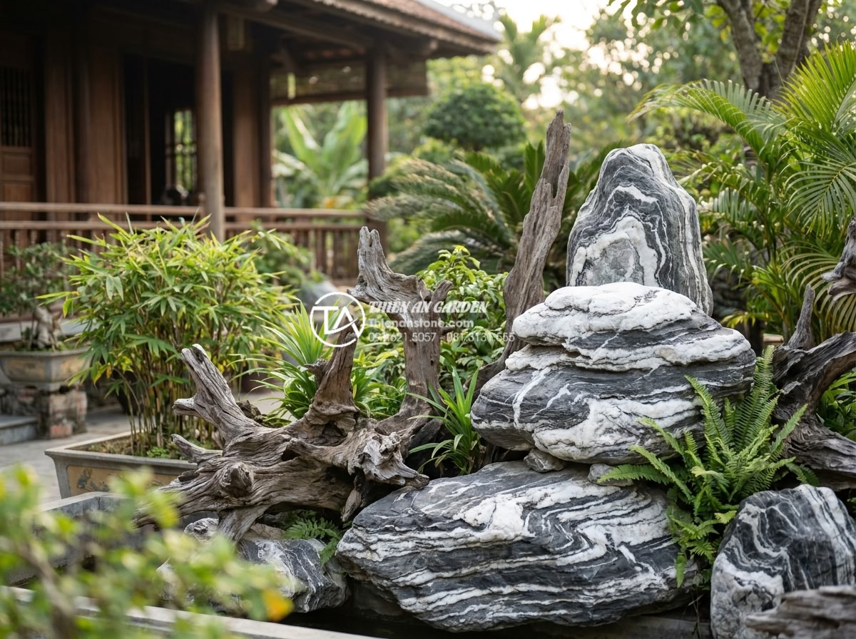 Cách tự tạo lũa từ gốc cây khô cho người yêu thích DIY - Professional team photo of Đá Cảnh Thiên An experts consulting with a happy home