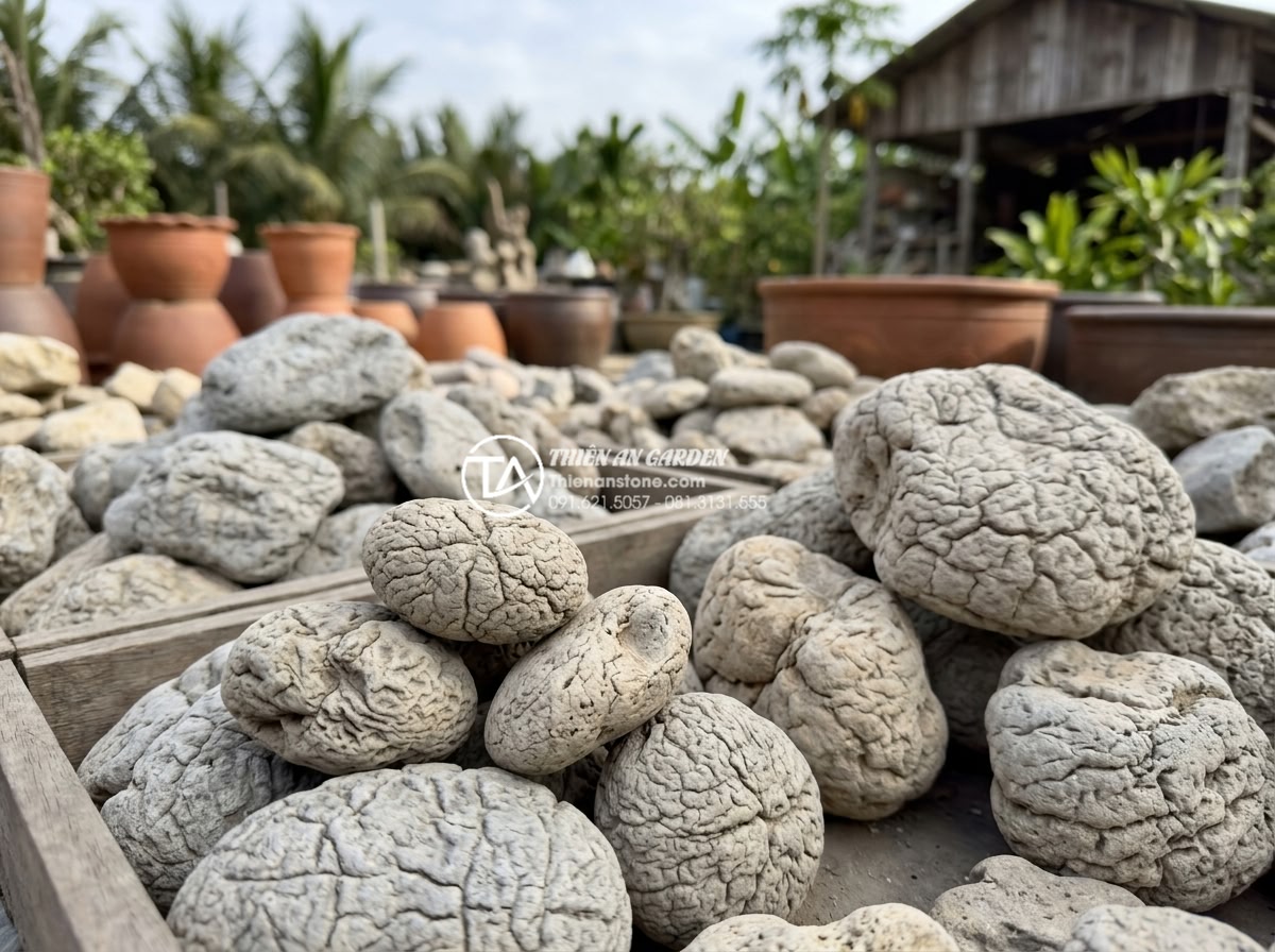 Case Study: Cải tạo sân vườn 20m2 với tiểu cảnh đá cuội từ A-Z - Close-up high resolution photo of various natural cobblestones in different size