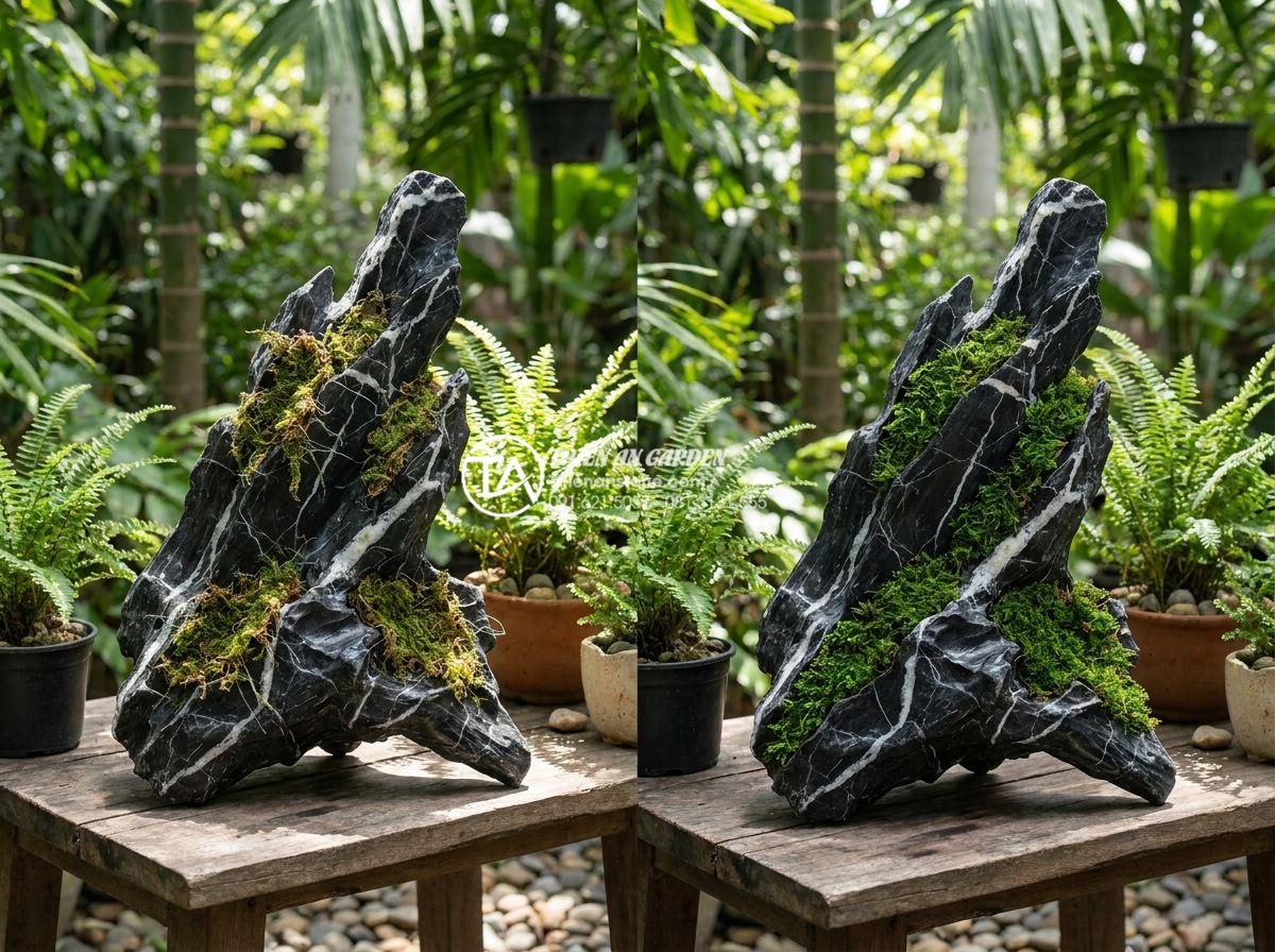 Kỹ thuật gắn rêu và cây không khí lên tiểu cảnh gỗ lũa mini - Before and after comparison of moss attachment errors and successful fixes on dr